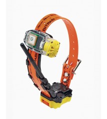 BITRABI Radio collare da caccia 5100B GPS + RADIO con beeper per cane da ferma