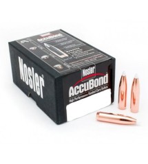 NOSLER ACCUBOND Palle Spitzer