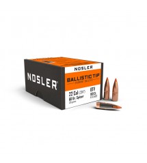 Nosler Ballistic Tip varmint