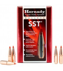 PALLE Hornady SST